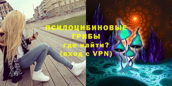 дурь Алексеевка