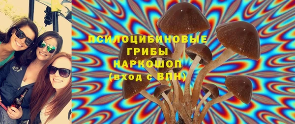 мяу мяу мука Алзамай