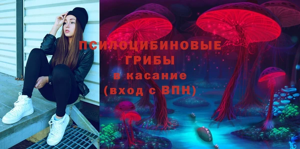 дурь Алексеевка